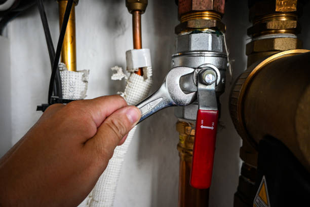 Best Clogged Drain Plumber  in New Waverly, TX